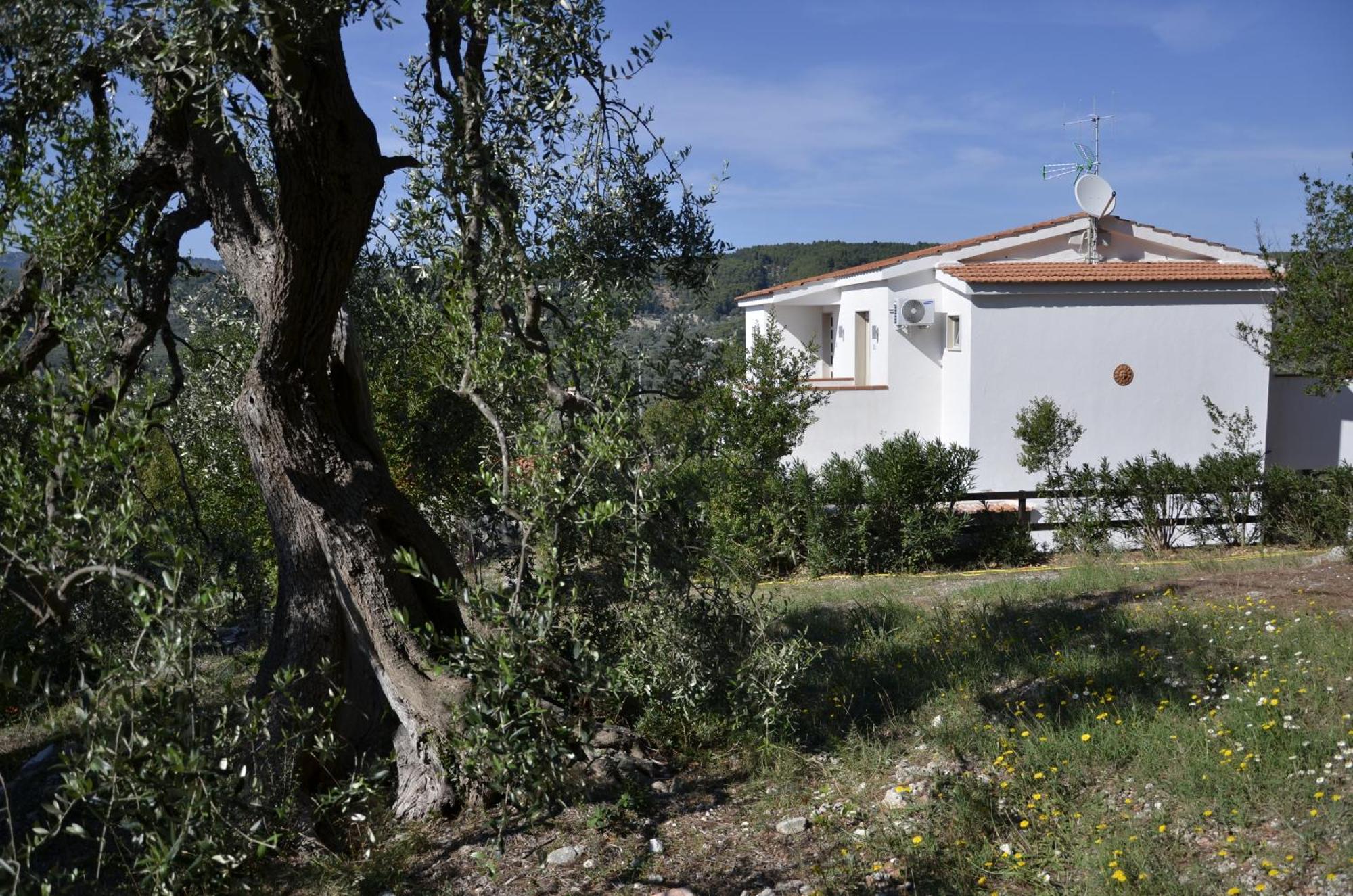 B&B White House Peschici Exteriör bild